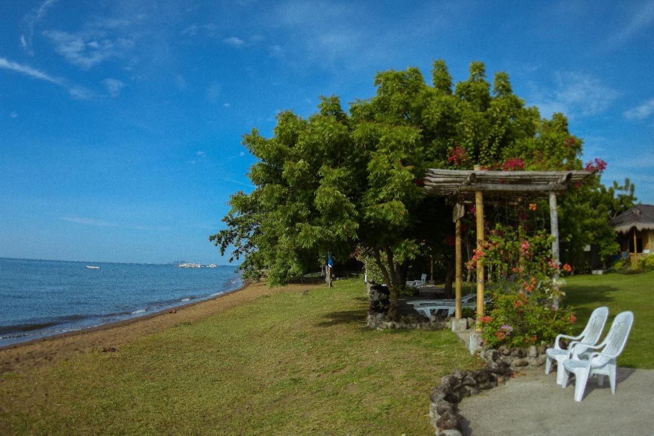 Liquid Dive Resort Dauin