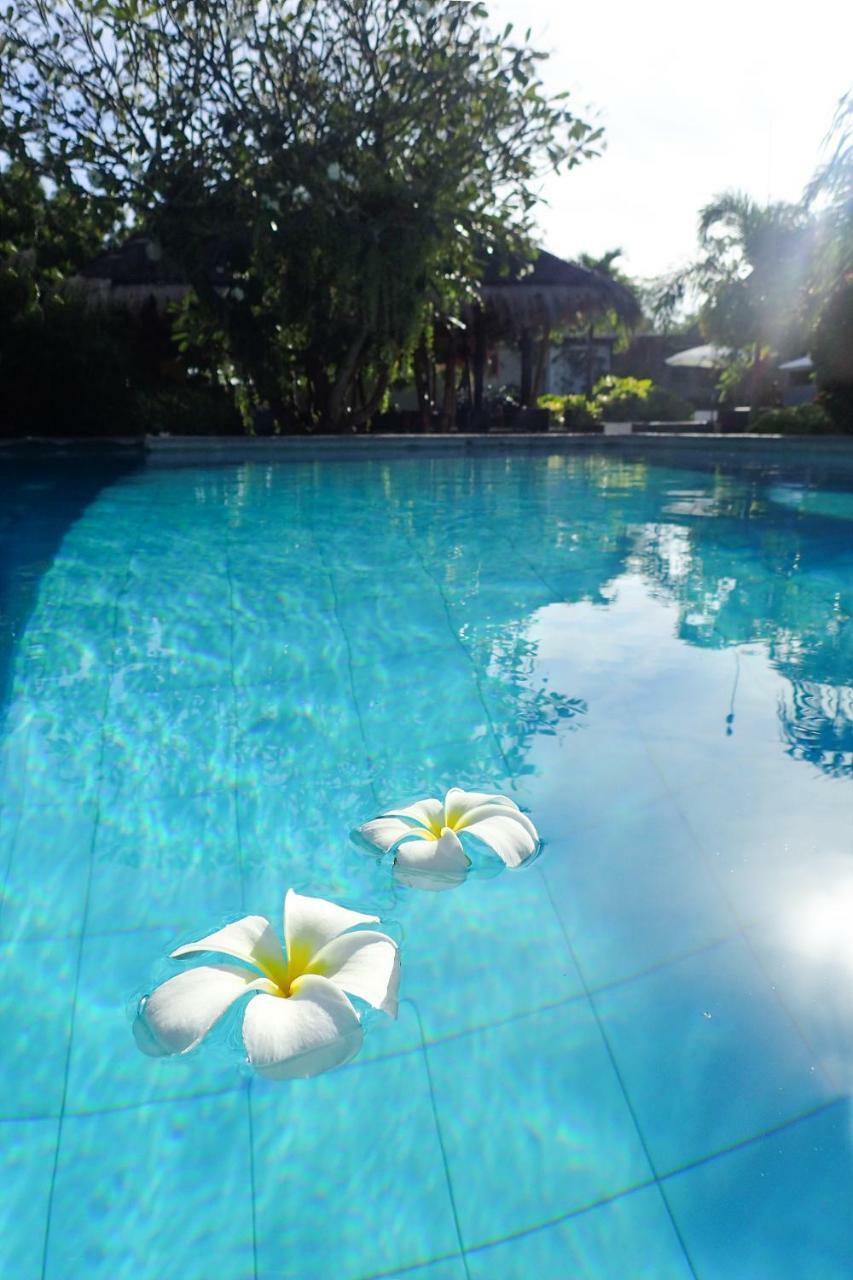 Resort Liquid Dive